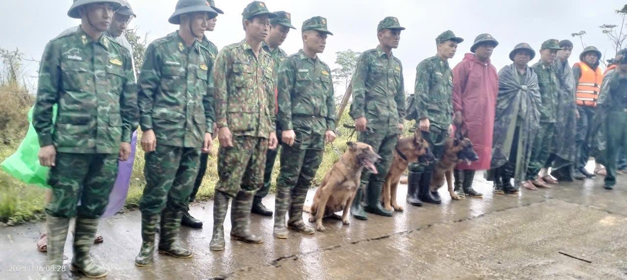 Ảnh bài viết nổi bật