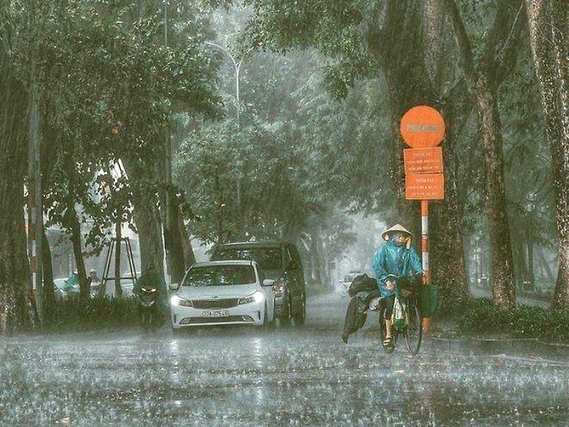 Ảnh bài viết nổi bật