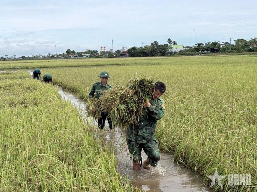 Ảnh bài viết nổi bật