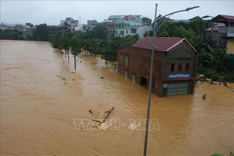 Ảnh bài viết nổi bật