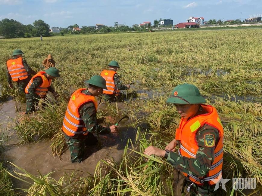 Ảnh bài viết nổi bật