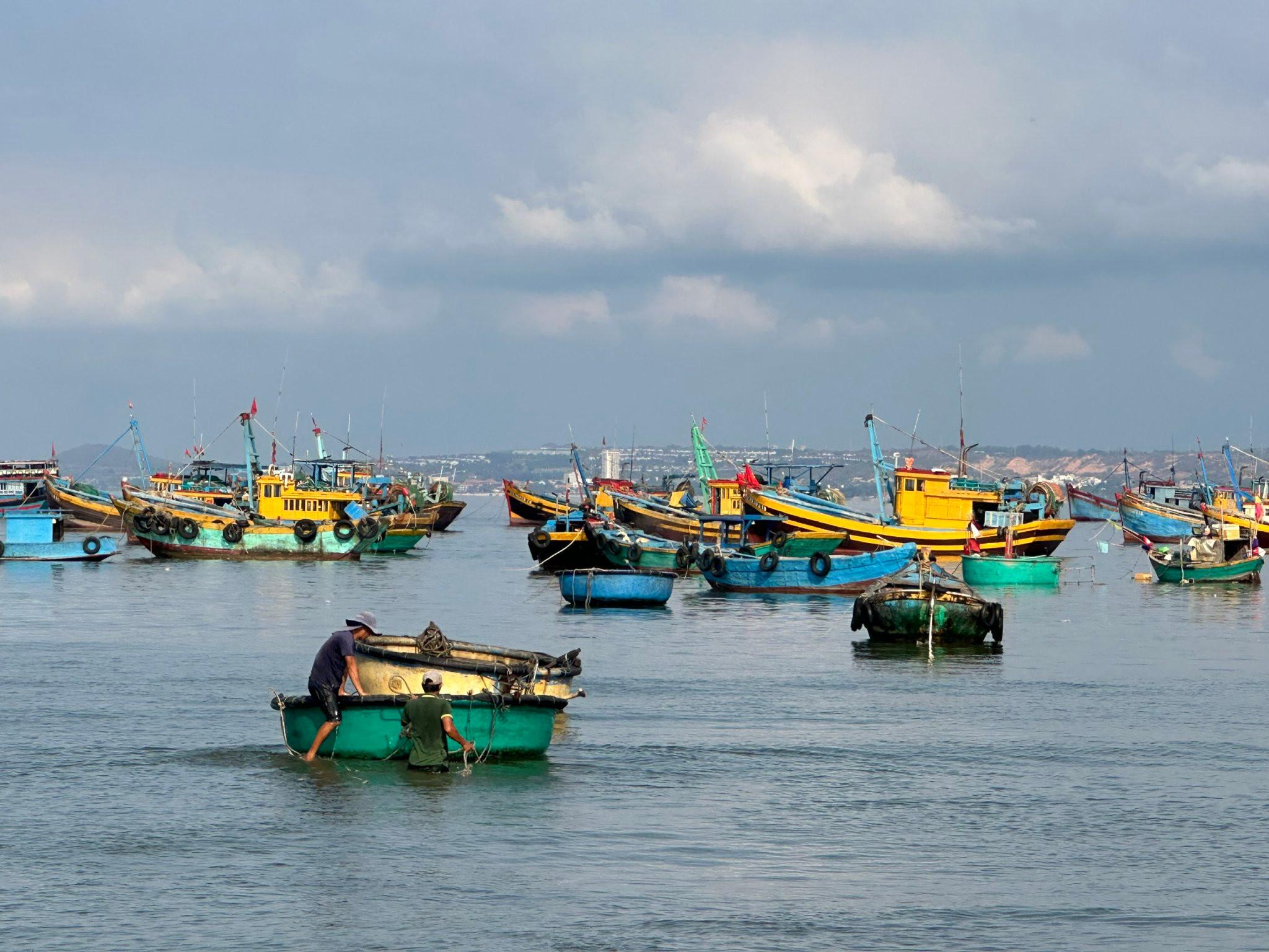 Ảnh bài viết nổi bật